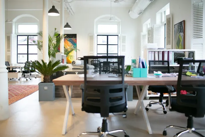 Daylit office with desks, chairs and plants