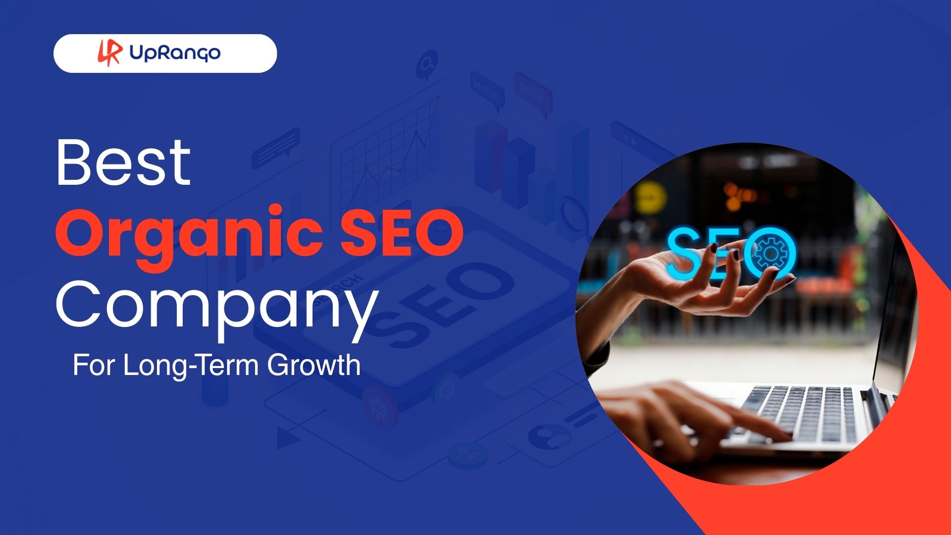 organic seo company